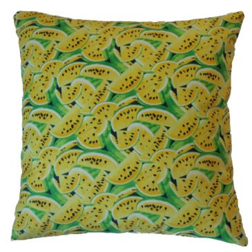 Summer Melons Cushion Cover